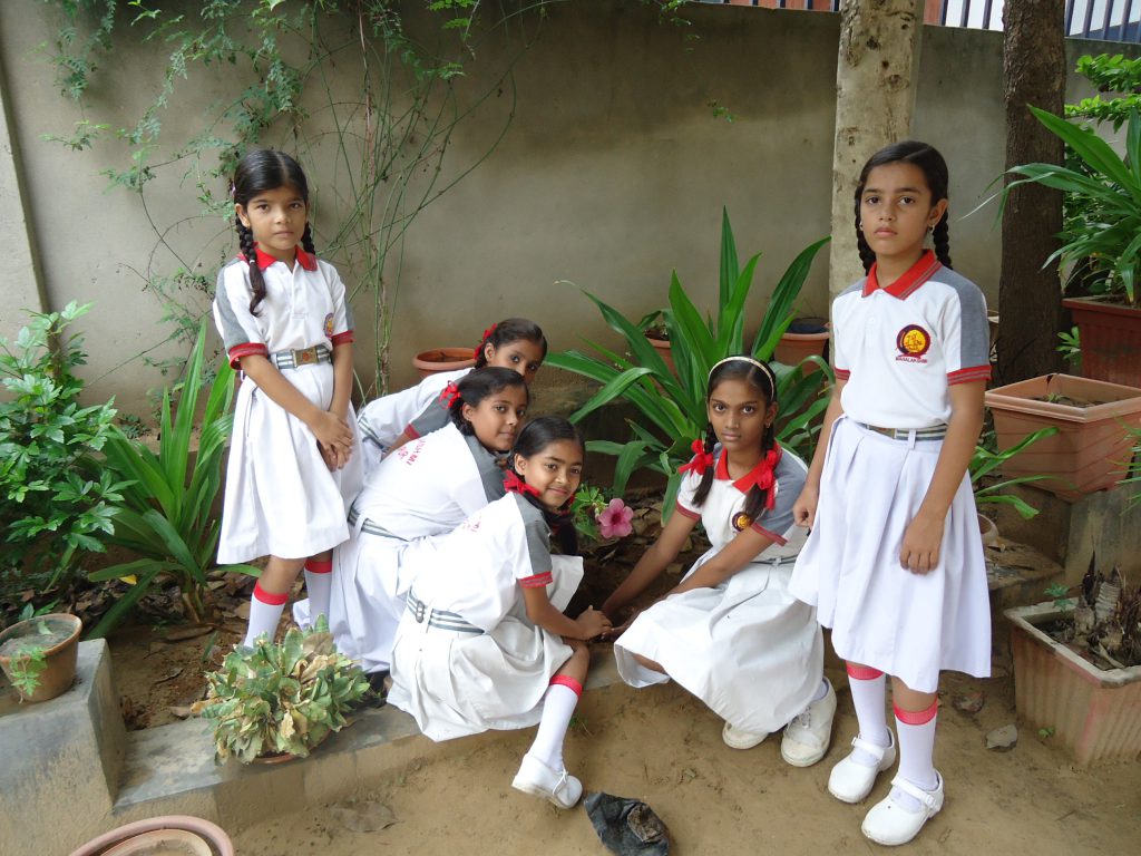 Left to Right: Sonal, Nidhi, Nikita, Komal, Sakshi, Yana